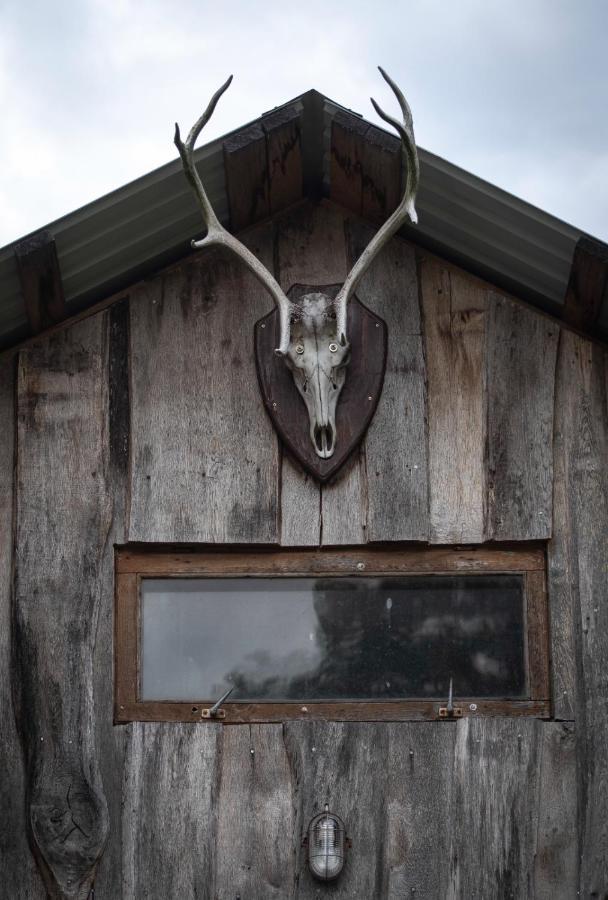 Glamping Fluffy Horns - Glempings Pukainie Ragi Hotel Plieņciems Kültér fotó
