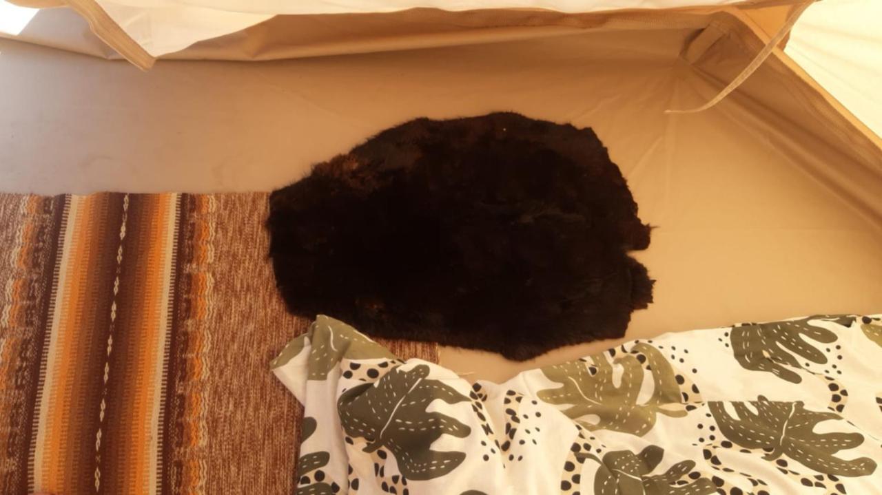 Glamping Fluffy Horns - Glempings Pukainie Ragi Hotel Plieņciems Kültér fotó