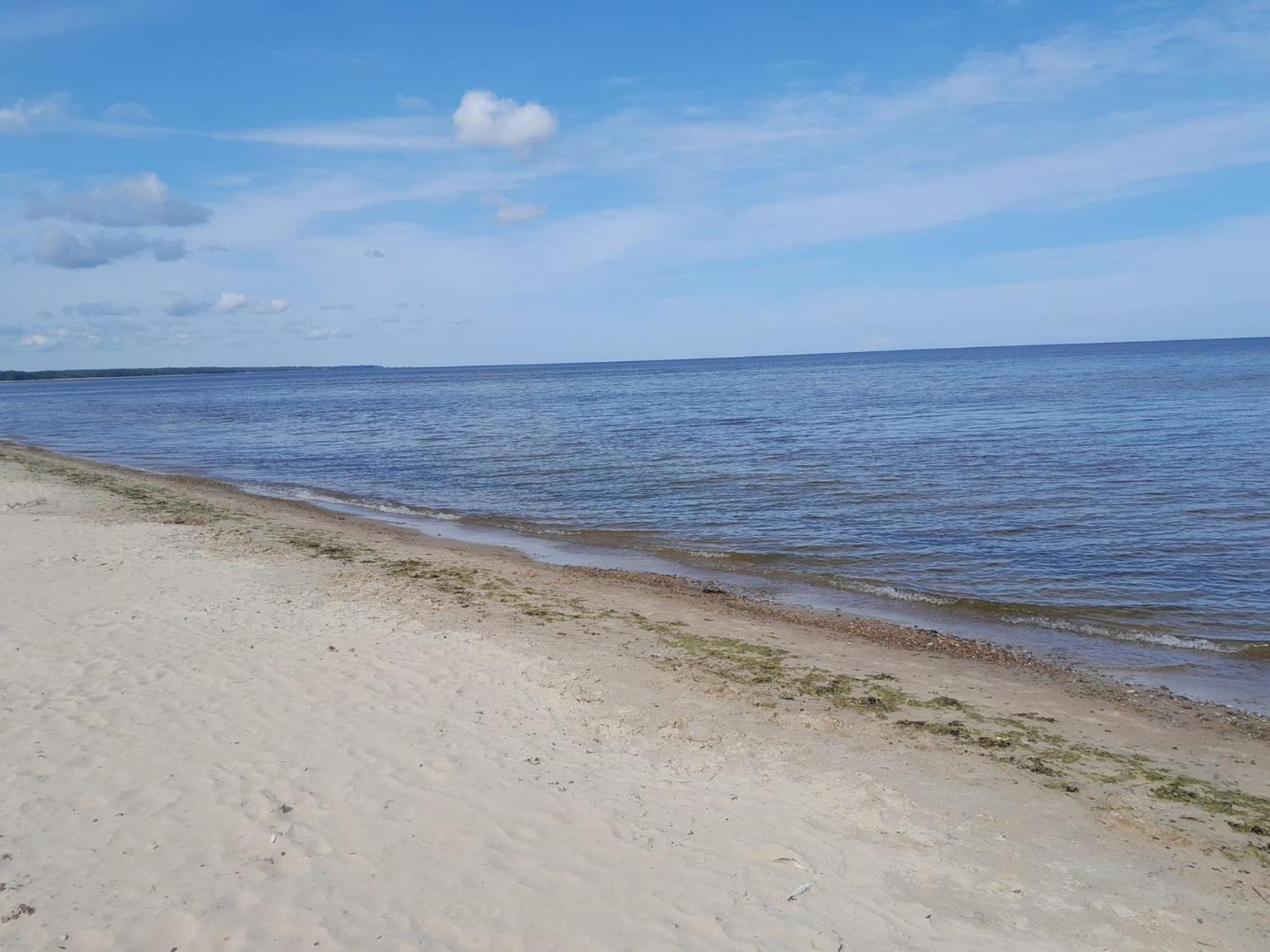 Glamping Fluffy Horns - Glempings Pukainie Ragi Hotel Plieņciems Kültér fotó