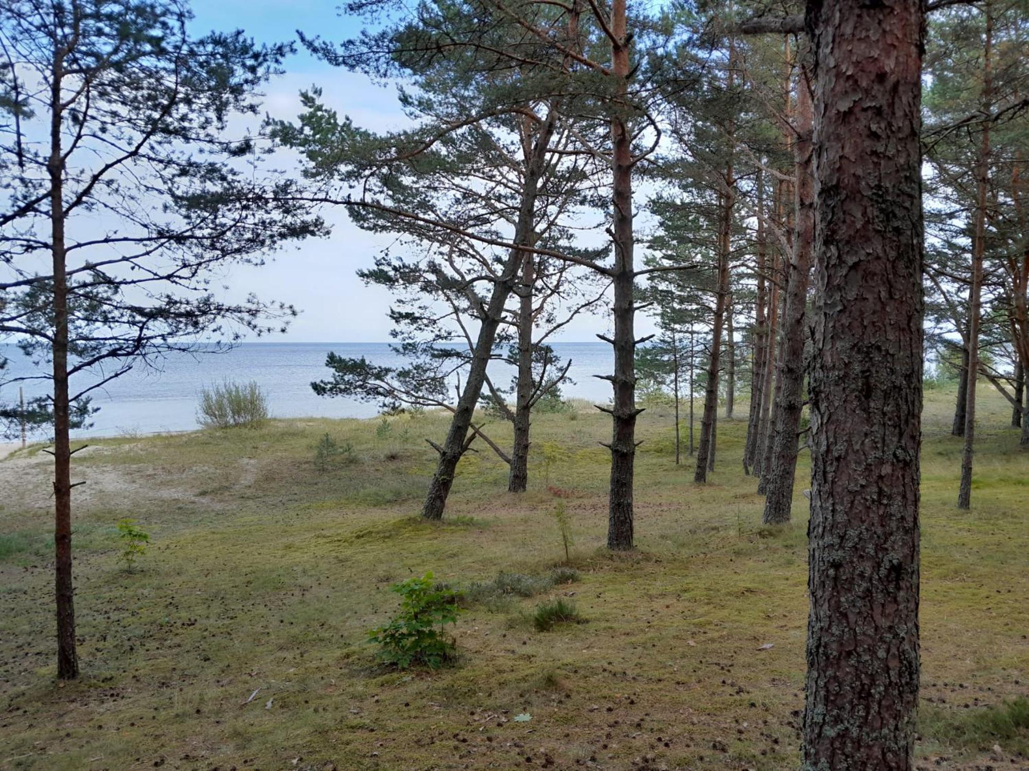 Glamping Fluffy Horns - Glempings Pukainie Ragi Hotel Plieņciems Kültér fotó